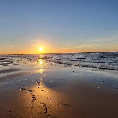 Beau Avec Acces Plage, Jardin, Piscine, Tennis, Velos, Netflix דירה