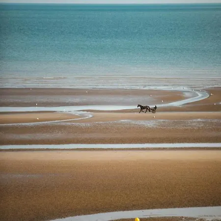 Lejlighed Beau Avec Acces Plage, Jardin, Piscine, Tennis, Velos, Netflix *