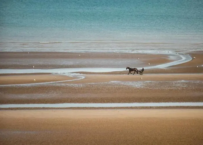 Lejlighed Beau Studio Acces Plage, Piscine, Jardin, Tennis, Velos, Netflix *